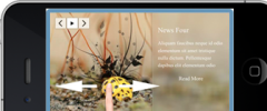 Image News slider screenshot 3