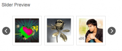 WP Image Slider With Lightbox screenshot 4