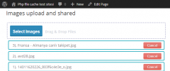 WP images upload on piclect screenshot 2