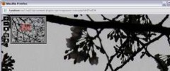 Wp-ImageZoom screenshot 1