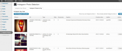 WP-Instaroll screenshot 2