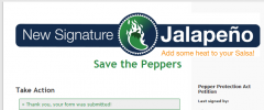 WP Jalapeno screenshot 7