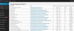 WP Keywords Report screenshot 2