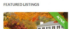 WP Listings screenshot 5