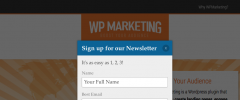 WP Marketing screenshot 1