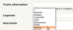 WP Media Category screenshot 2