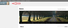 WP Mibew screenshot 3