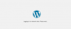 WP Multisite SSO screenshot 2