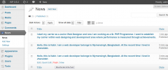 WP News Bulletin screenshot 2