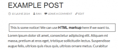 WordPress Notice screenshot 3