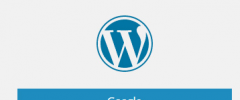 WP-OAuth screenshot 3