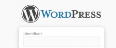 WP OpenId Selector screenshot 1