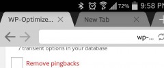 WP-Optimize screenshot 5