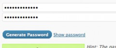 WP Password Generator screenshot 1