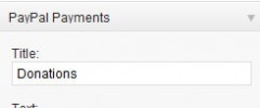 WP Paypal Simple Donation Widget screenshot 1