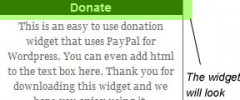 WP Paypal Simple Donation Widget screenshot 2
