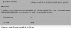 WP Permastructure screenshot 1