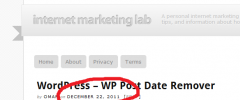 WP Date Remover screenshot 1