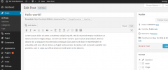 WP Post Revisions screenshot 2