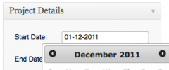 WP Project Managment Ultimate screenshot 3