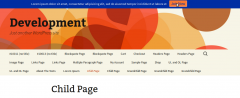WP Promoter screenshot 2