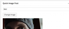 WP Quick Image screenshot 2