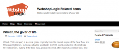 WP Related Items (WRI) screenshot 1