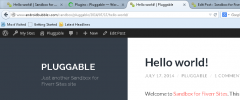 WP Responsive Tabs screenshot 6