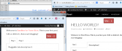 WP Responsive Tabs screenshot 8