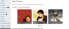 wordpress responsive thumbnail slider screenshot 8