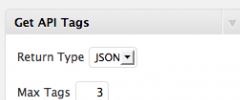 WP RESTful Tags Plugin screenshot 2