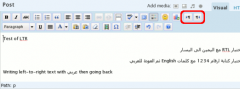 WP-RTL screenshot 1