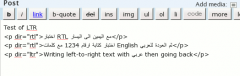 WP-RTL screenshot 2