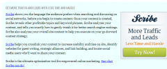 WP Scribe Box screenshot 2