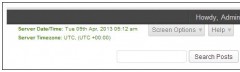 WP Server Date Time screenshot 1