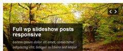 WP Slideshow Posts screenshot 2
