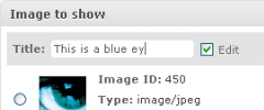 WP Smart Image II screenshot 2