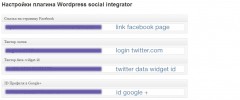 WP social integrator - WordPress social integrator screenshot 3