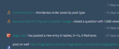 WP Social Stream screenshot 1