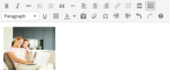 WP SoftLinks screenshot 3