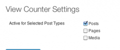 WordPress Stats View Counter screenshot 1