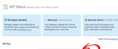 WP Status screenshot 1
