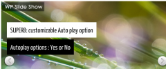 wp superb Slideshow screenshot 1