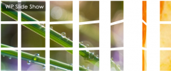 wp superb Slideshow screenshot 7