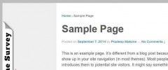 WP Survey Plus screenshot 7