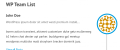 WP Team List screenshot 1