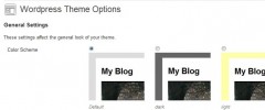 WP Theme Options screenshot 1