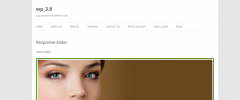 WP Thumbnail Slider screenshot 2