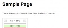 WP Time Slots screenshot 1