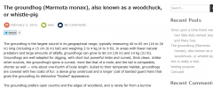 WP Tweet Plus screenshot 2